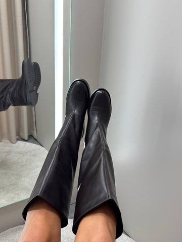 Ilgaauliai Inia